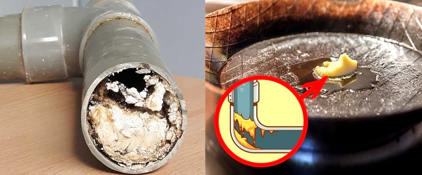 Thức ăn thừa và dầu mỡ tích tụ